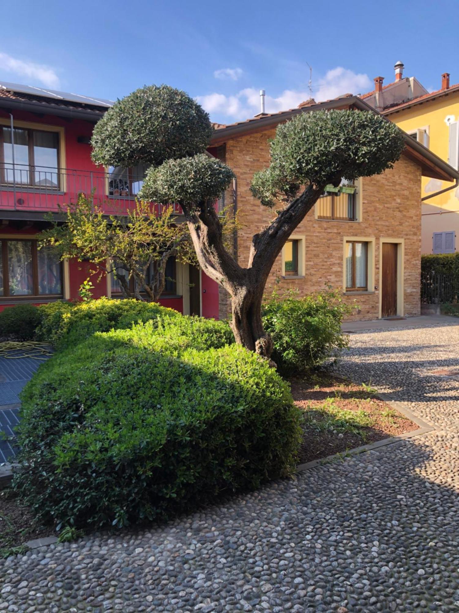 Bergamo Easy Airport Private Parking Leilighet Eksteriør bilde